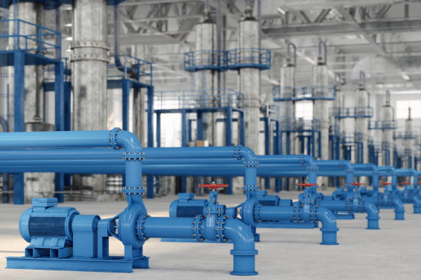 Best Local Plumber Services  in Lake City, FL